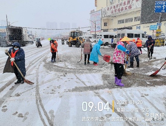 寒潮来袭“菜篮子”稳稳当当，白沙洲大市场24小时保供稳价